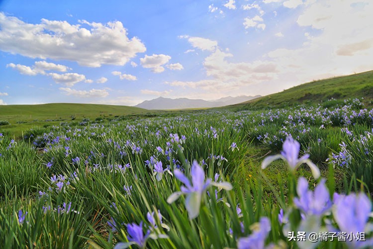 孕期失眠怎么停止胡思乱想,孕期失眠了怎么办简单解决方法