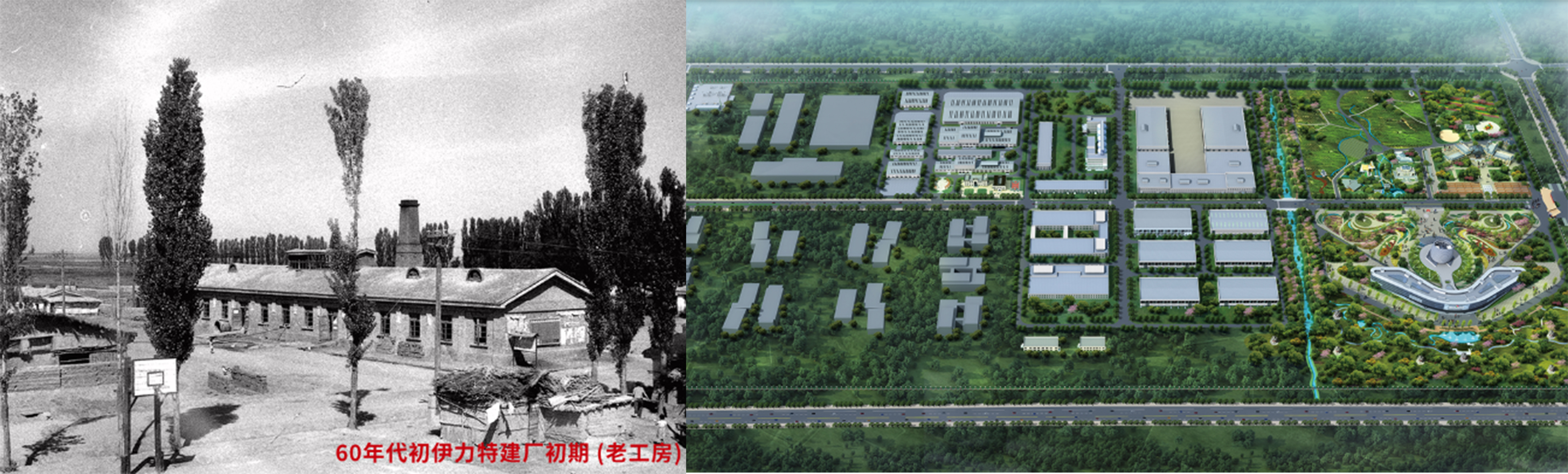 新疆伊力特酒品评,伊力特酒评视频