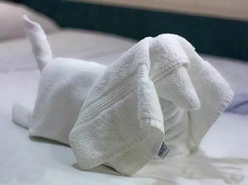 旧毛巾利用手工制作大全,旧毛巾怎么做小物件