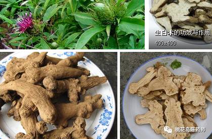 中药饮片独角牛别名,中药饮片大芸的别名