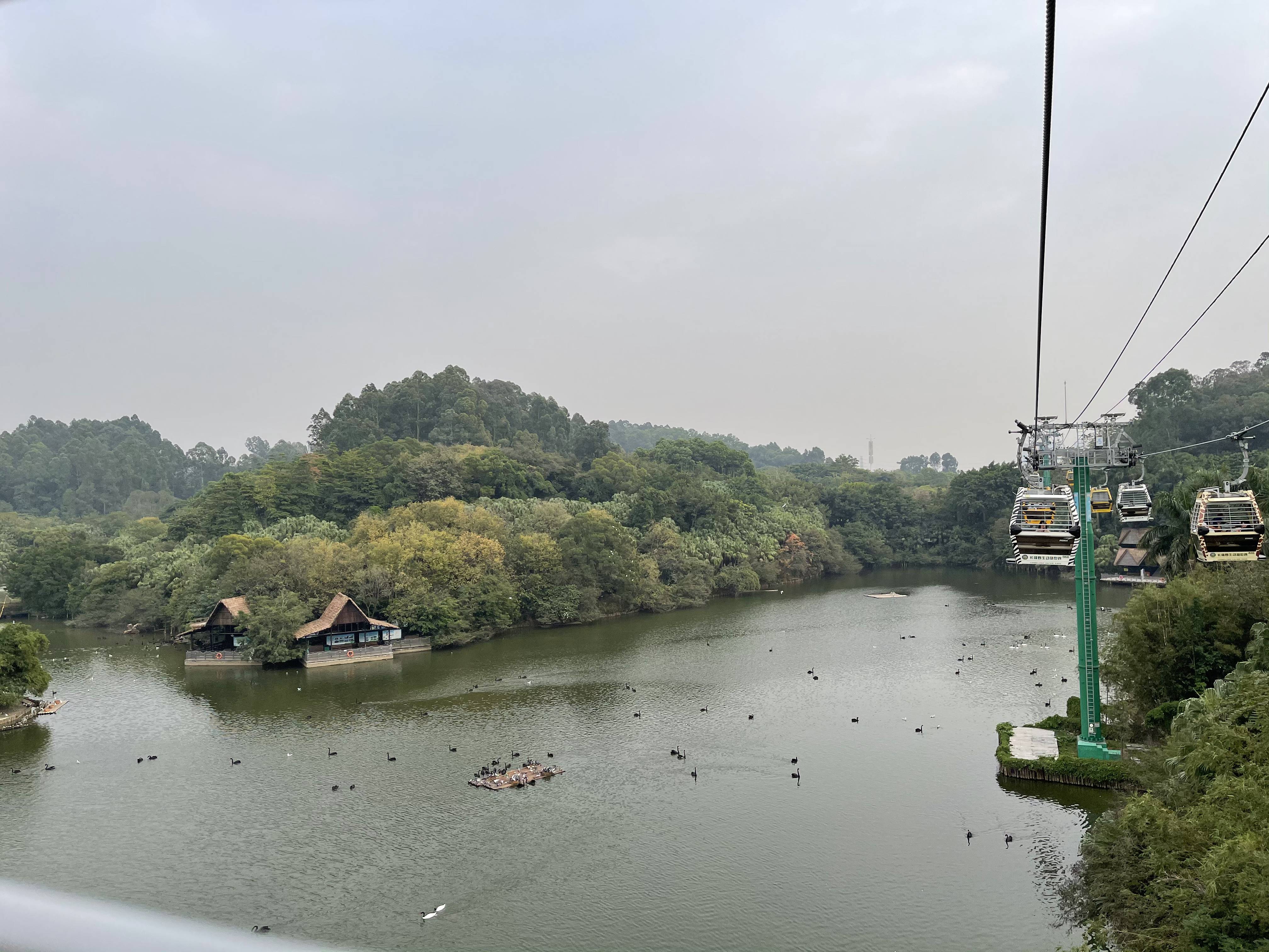 广州长隆野生动物园游玩攻略最新,长隆野生动物园亲子游三天