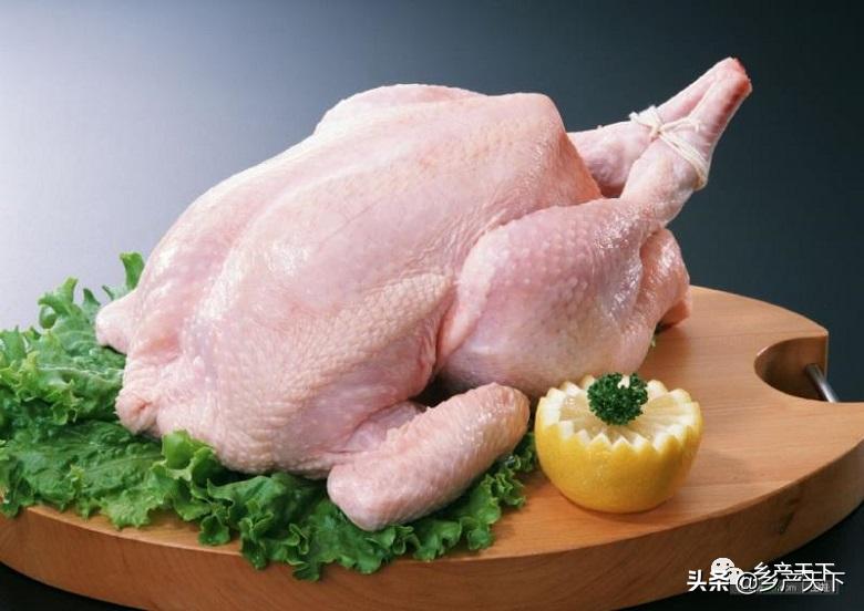 山西大象农牧：“大象模式”成了助农增收的“金钥匙”