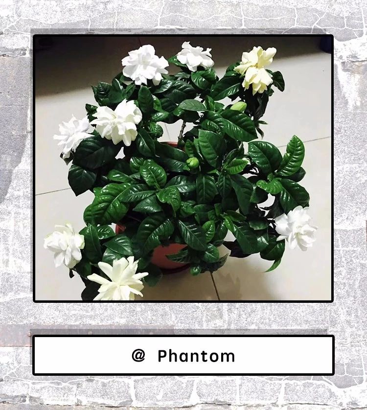 手机里唯一舍不得删的一张照片,相册里藏着一张不舍的删除的照片