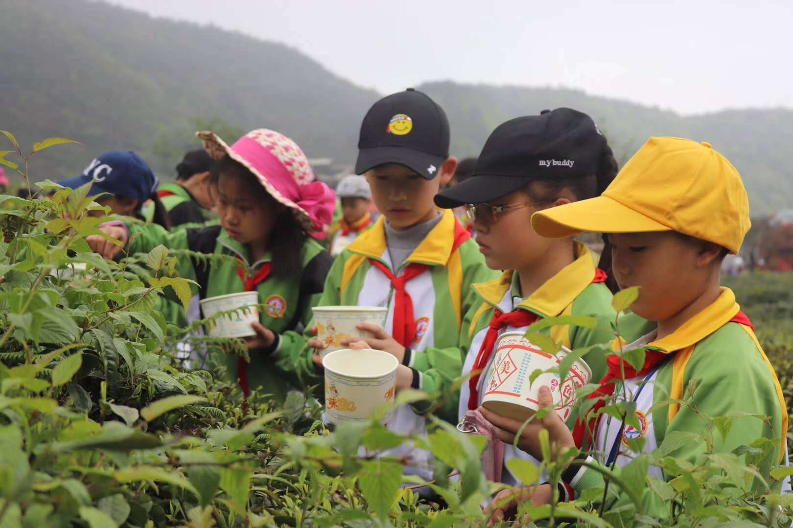 草长莺飞踏青季哪里好玩,草长莺飞春游