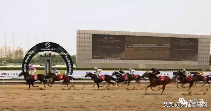 2019年全国速度赛马锦标赛11月2-3日武汉东方马城国际赛马场举行