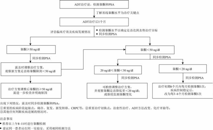 前列腺癌最新研究新进展,前列腺癌内分泌治疗的专家共识