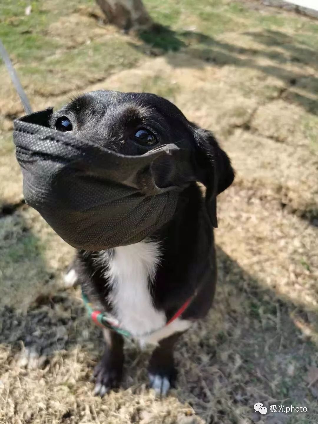 我们身边的姐妹这样记录她们的「非常」生活