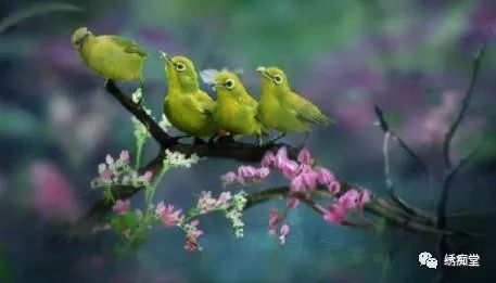 纹绣的基本知识和理论,养绣眼讲究