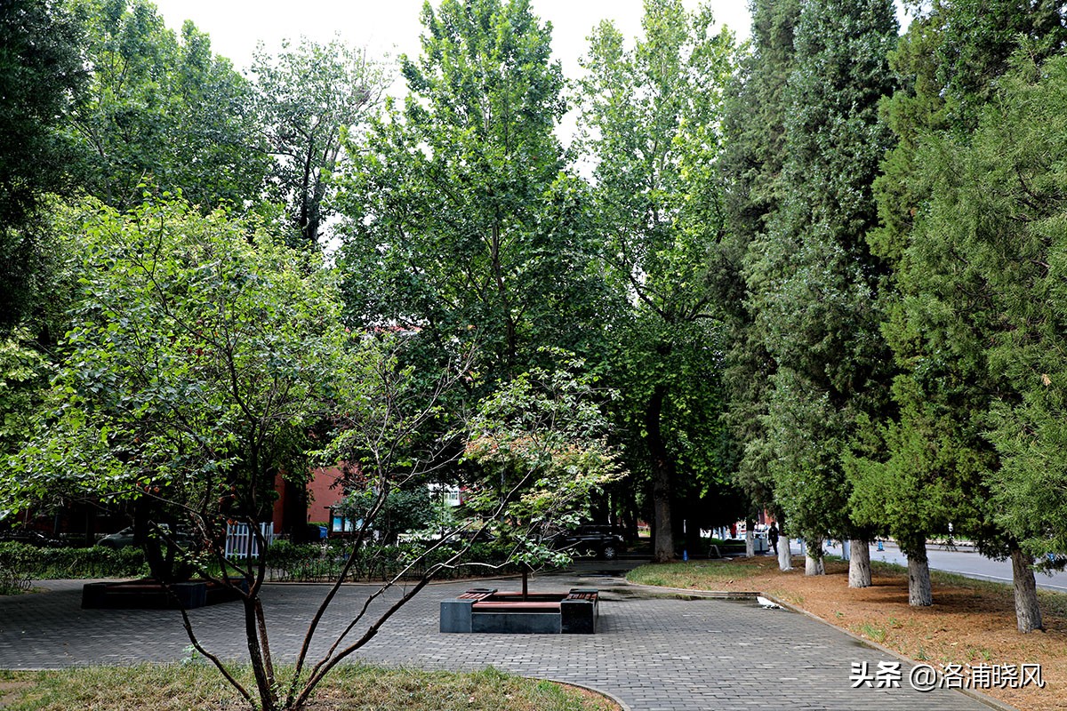 北京第二外国语学院风景,北京第二外国语学院分析