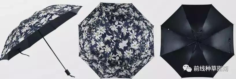 动物防晒VS人类防晒，食物链顶端的我们居然败了？！