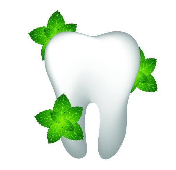 罗曼电动牙刷t40礼盒,罗曼电动牙刷t40怎样上刷头