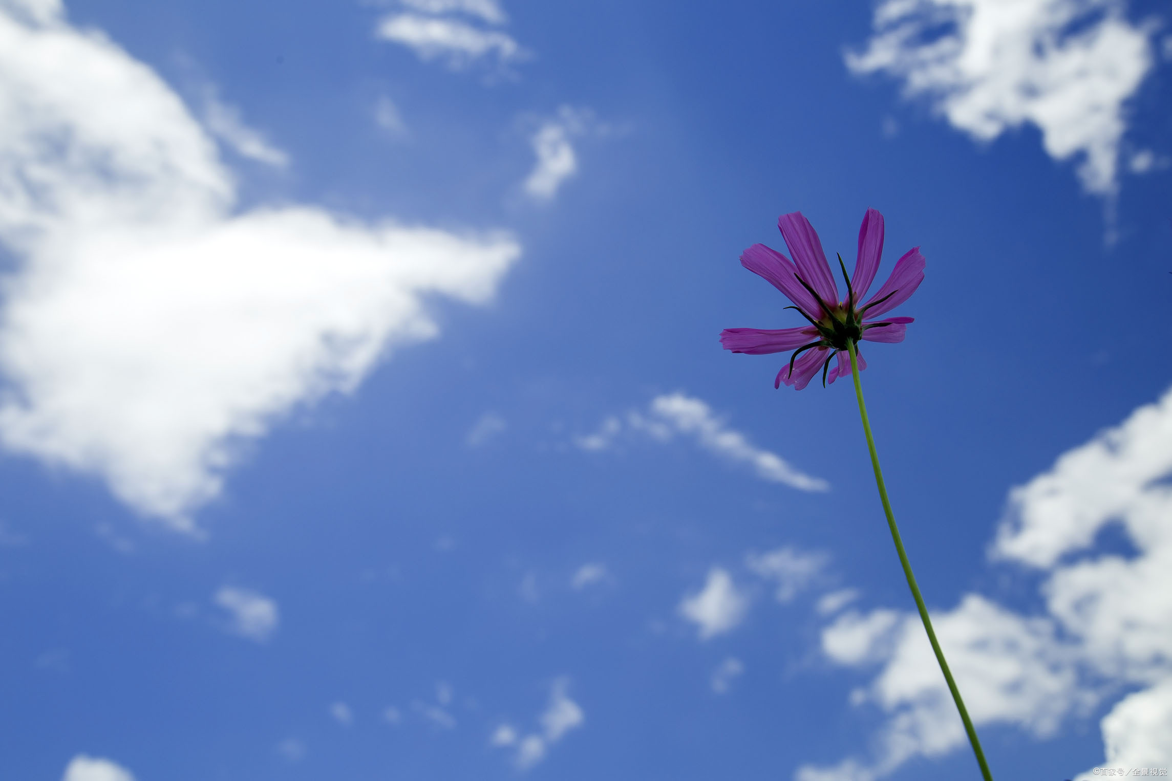 安卓微信号怎么改成苹果微信号,ios系统微信能改微信号吗