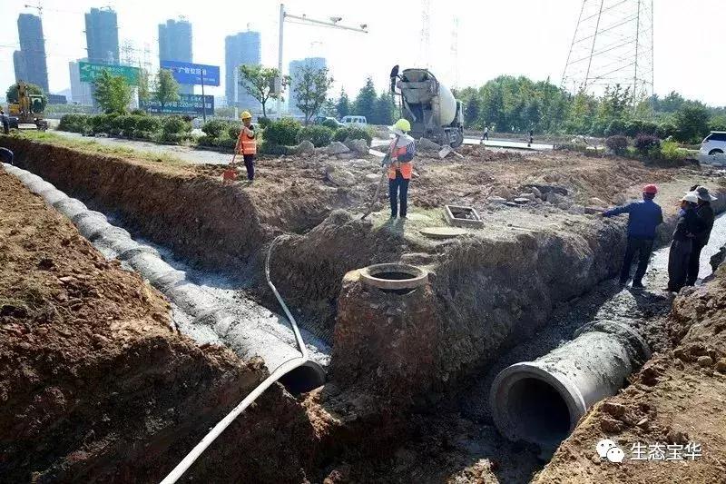 仙林市最新通车消息,仙林东路最新消息