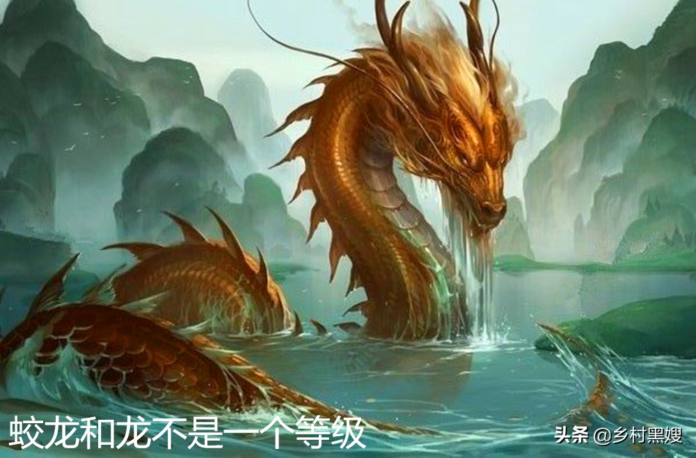 古时候真的有龙和蛟吗,解密古代真有龙么