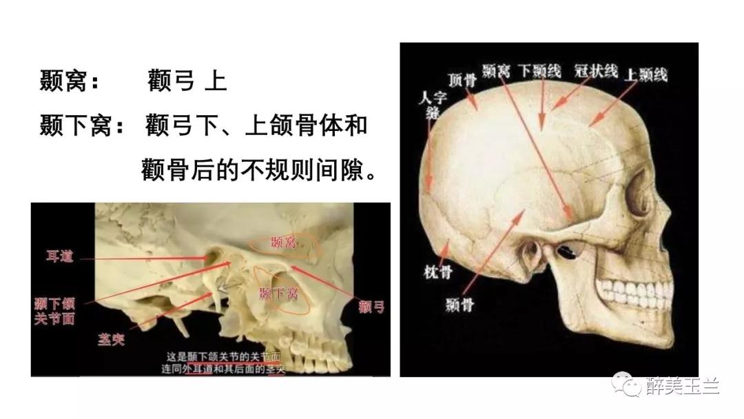 病例分享丨三叉神经节微球囊压迫术的麻醉管理