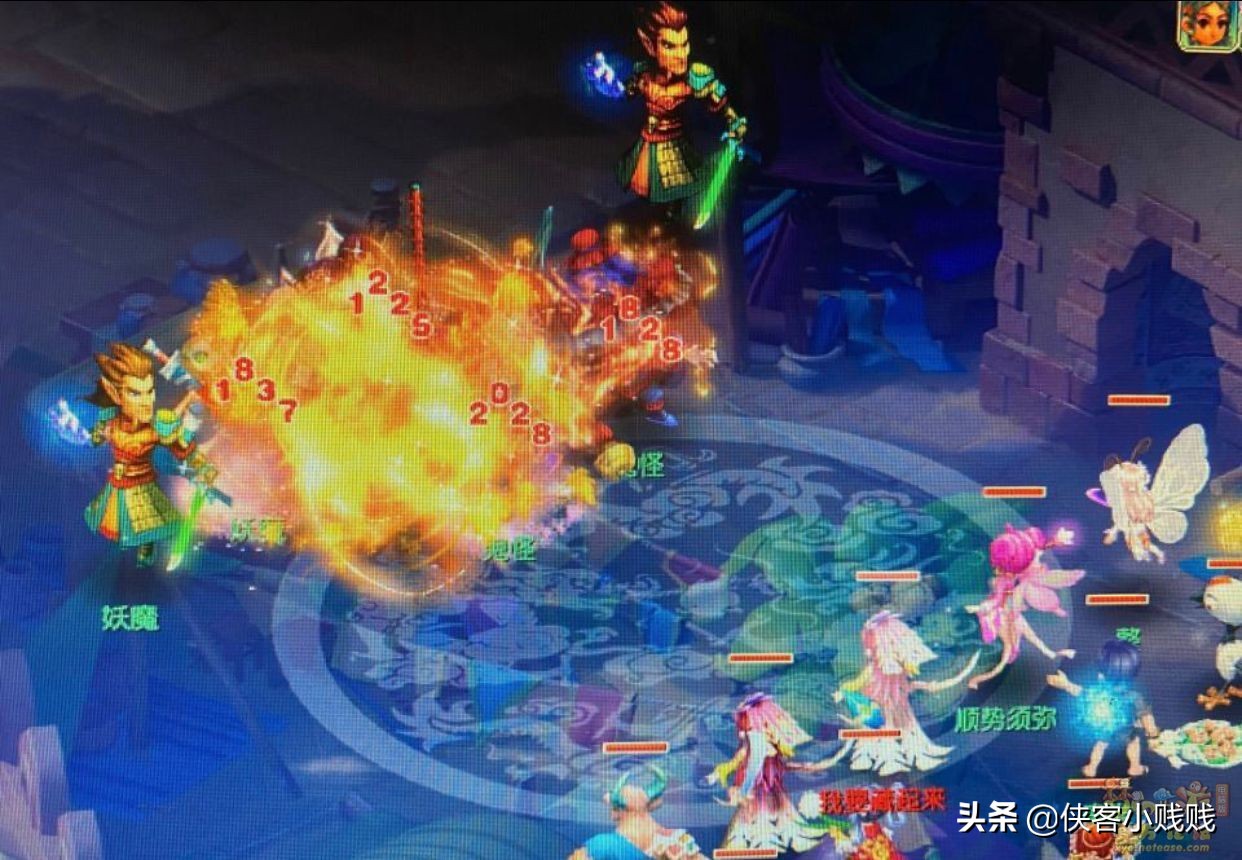 精锐组神木林展示,精锐神木林