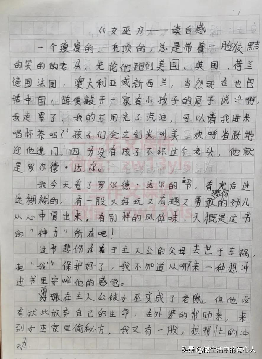 小学生怎样写读后感及范文,小学生写读后感的技巧与范文