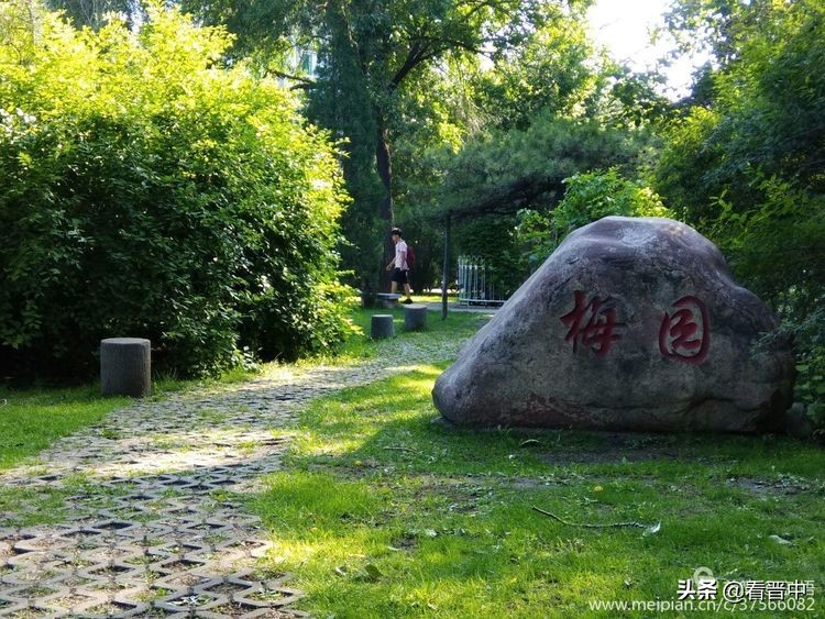 山西农大美丽的校园,山西农大校园风光