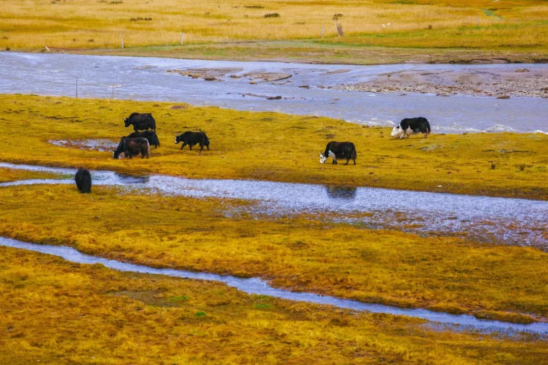 论起亲戚间的年礼，那个个都是”戏精“