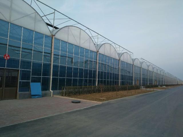 湖南薄膜连栋温室大棚造价,实惠的薄膜温室大棚建设