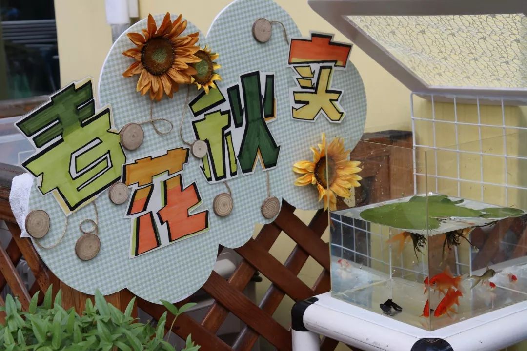 【秋色】一起逛青浦的校园,在书香中邂逅最美的秋