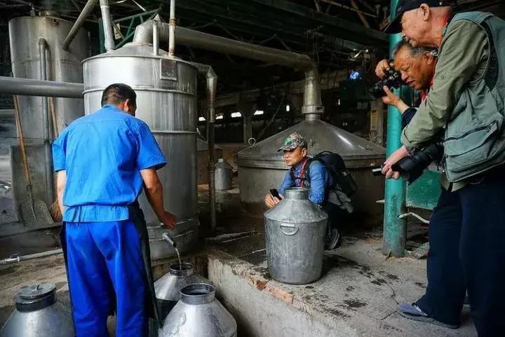 河南杜康酒业官网,豫酒振兴宝丰酒厂