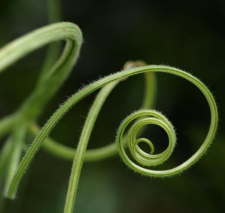 念什么咒语会改变运气,念什么咒语能让你运气变好
