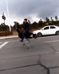 30张搞笑图片gif,笑晕过去搞笑图片