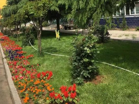 花团锦簇的峰峰是怎样炼成的？是时候告诉你真相了