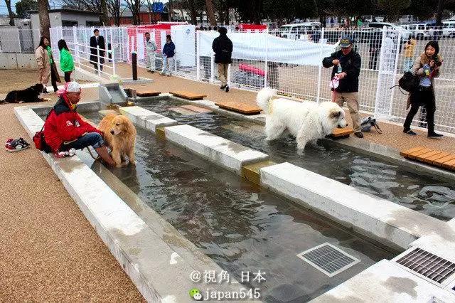 这个只有47万人的日本小城，是武汉最可爱的朋友