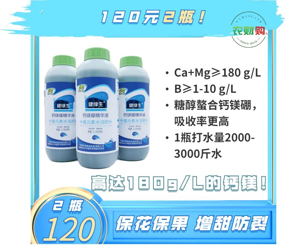 柑橘爱媛用什么肥能提早上市,脐橙爱媛