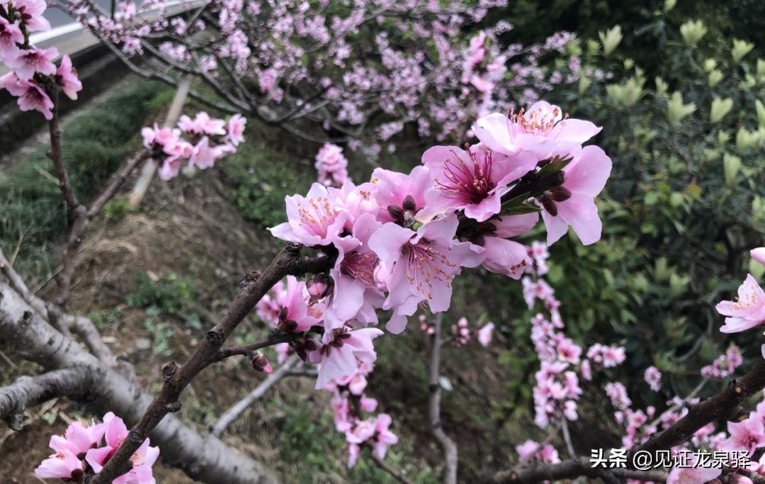 美成仙境,美成了仙境