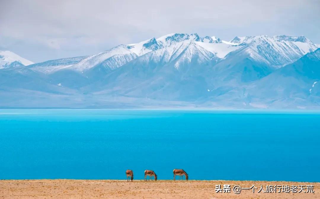 初秋适合去的小众宝藏地,这些宝藏去处你打卡了吗