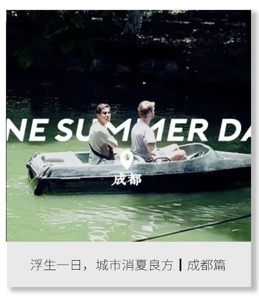 恋恋丽贝岛，人狗情未了|KohLipe