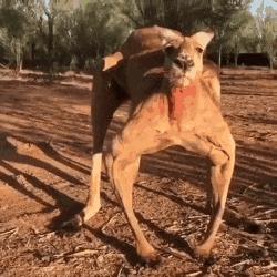 去理发店洗头，跟老板说：能不能换点别的音乐，好难听啊