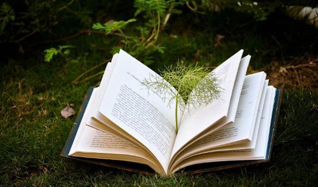 圣诞节送12星座什么礼物天平座,12星座给巨蟹座送礼物