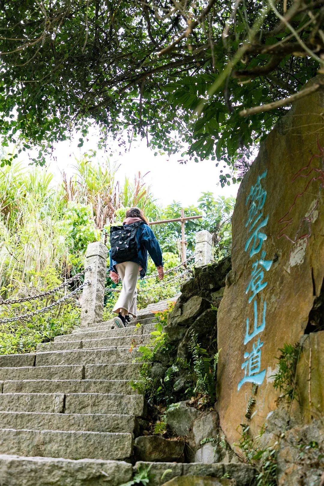 放假在深圳能去哪里玩,放假了可以去深圳的哪些地方玩