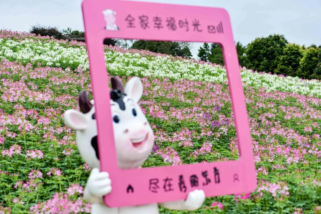 成都三圣乡恐龙主题公园,三圣乡恐龙主题公园地址