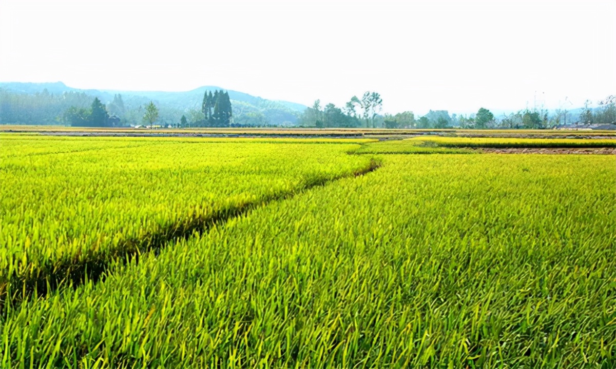 代理合作是什么意思,加盟联营代理区别