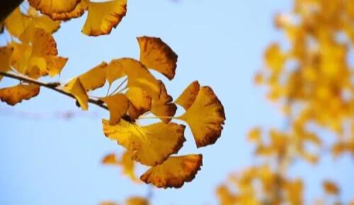 宜昌人被骗20万,上海小区居民被骗48万