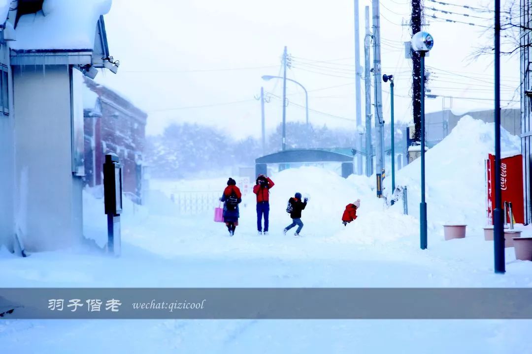 老实说,这一趟北海道就是为了拍好看的照片去的