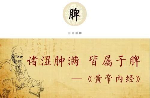 苍术健脾效果怎么样,苍术是健脾祛湿第一药吗