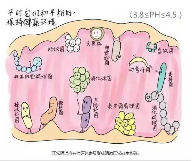 妇科健康检查的准则,妇科检查的秘密