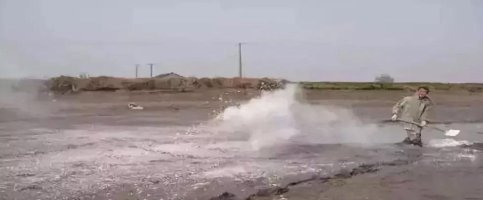 生石灰在水产养殖中怎样使用,生石灰在水产养殖中使用禁忌