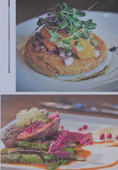 芬兰极光透明玻璃屋,芬兰玻璃屋极光观赏攻略