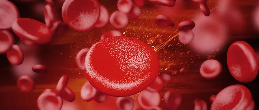 sle贫血症,sle患者平时要多注意什么