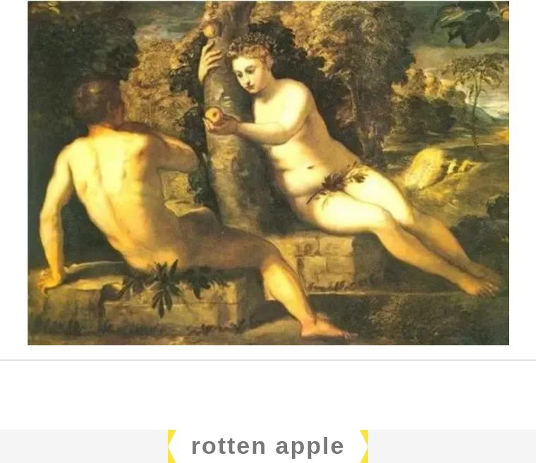 凤梨和菠萝什么区别图片,金钻凤梨与菠萝的区别