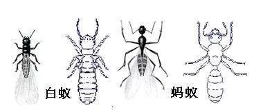 千防万防家贼难防高大上说法,地下室装修防潮湿的最好方法