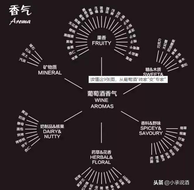 红酒初学者入门的知识,红酒小知识100例