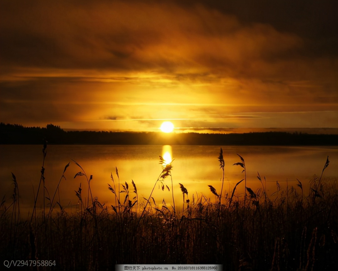 疫情期间德国留学生怎么回国上学,疫情回国留学生出路